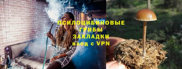 соль курить ск Алзамай